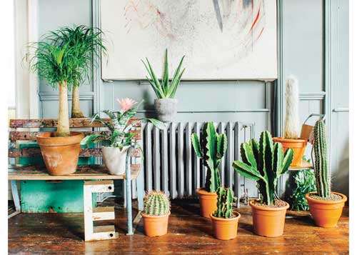 Mix and match with any variation that pleases you!